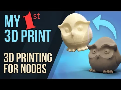 A 3D model of an owl. The text reads, "My 1st 3D Print: 3D Printing for Noobs."