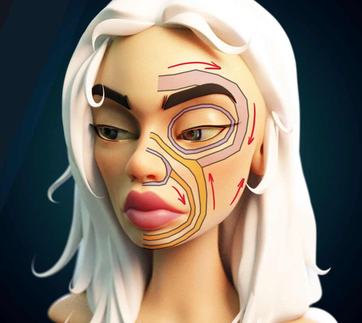 A 3D model of a woman's head, with markings and arrows to highlight facial muscles.