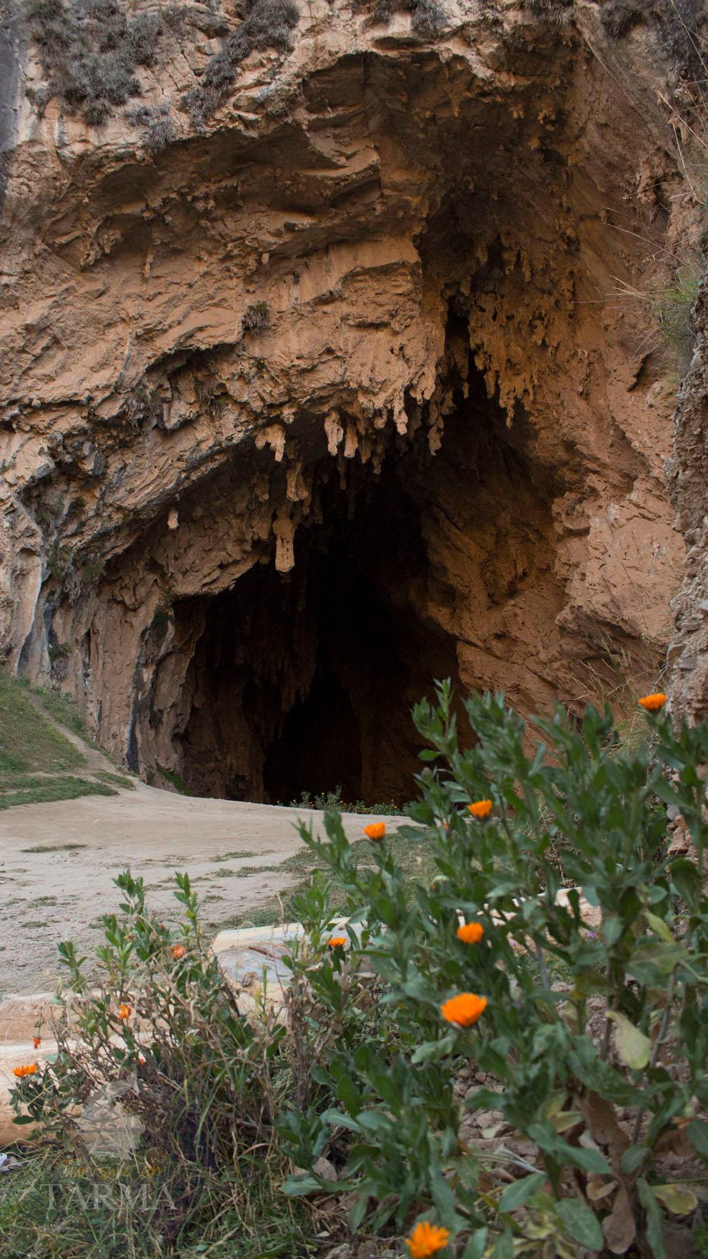 huagapo