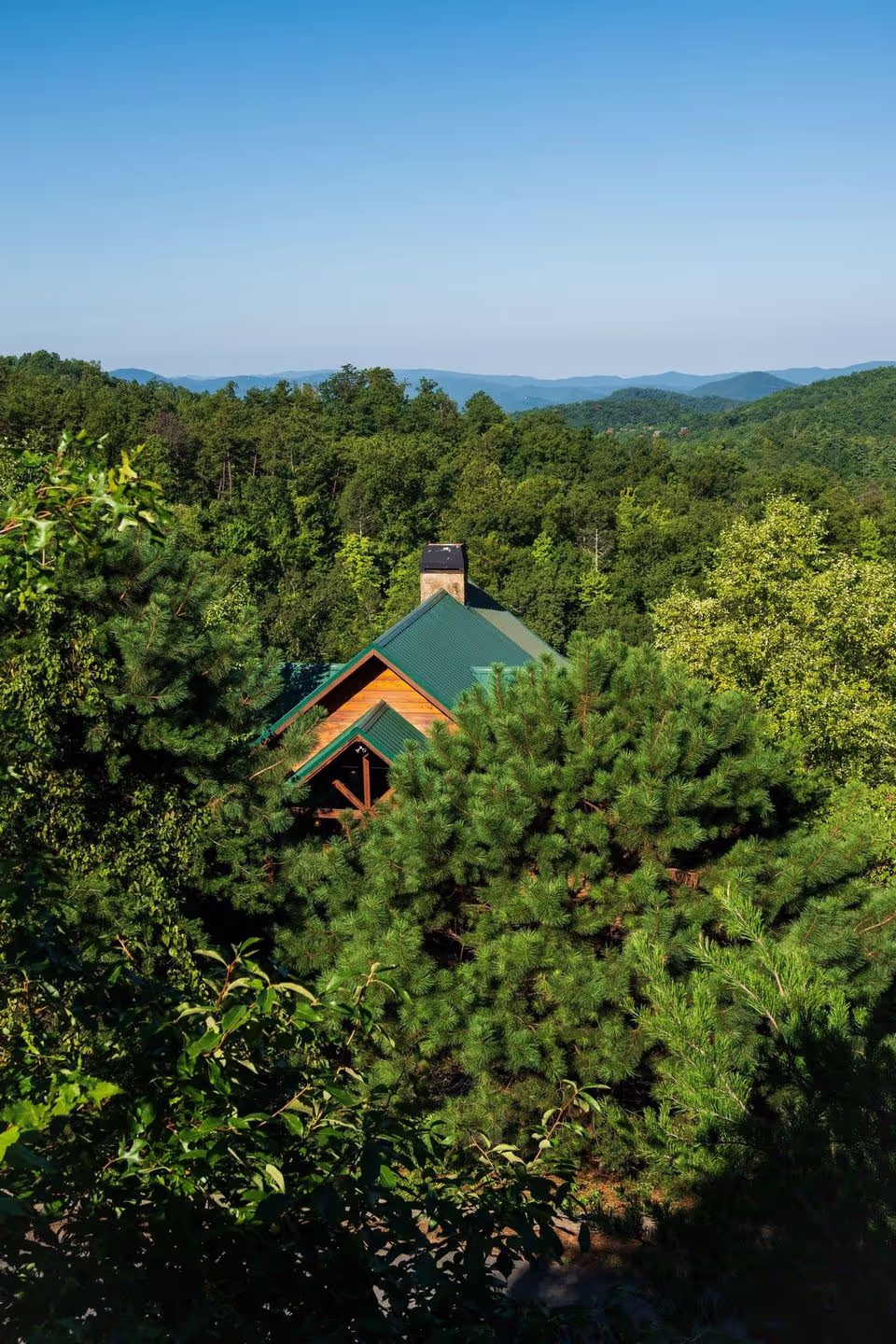 Cozy cabin nestled among lush green trees, with a clear blue sky and distant hills visible in the backdrop.