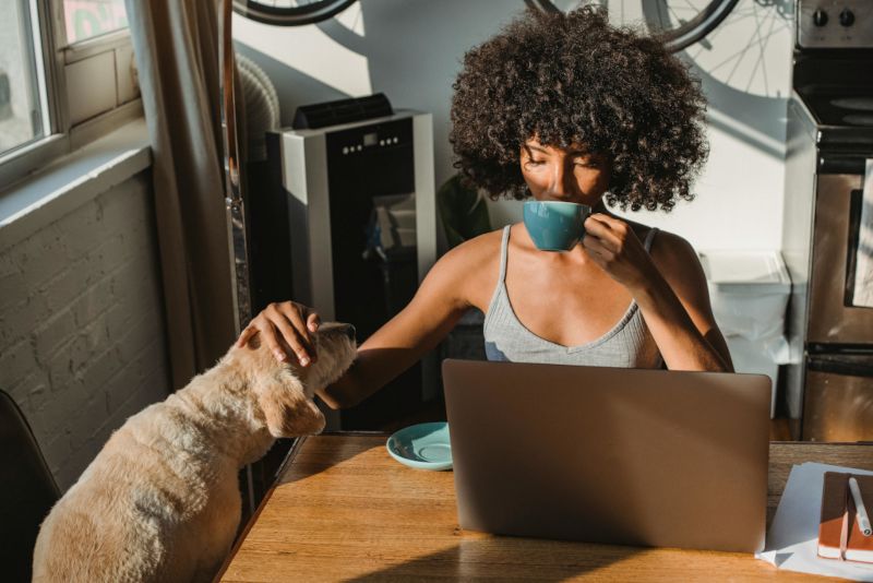 Woman working at a laptop while petting a small dog and drinking from a blue mug.