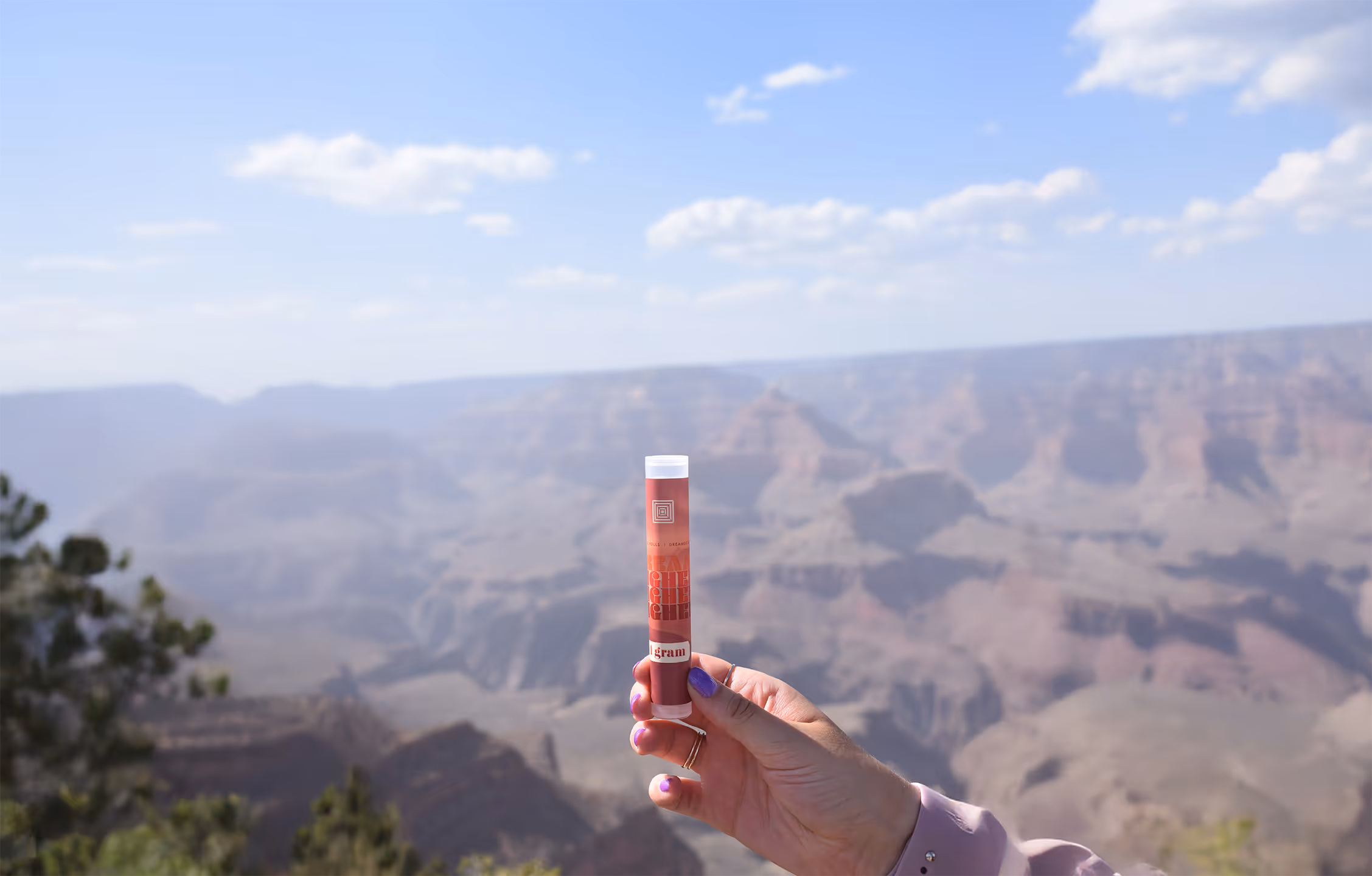 Lip balm held up against scenic Grand Canyon landscape backdrop