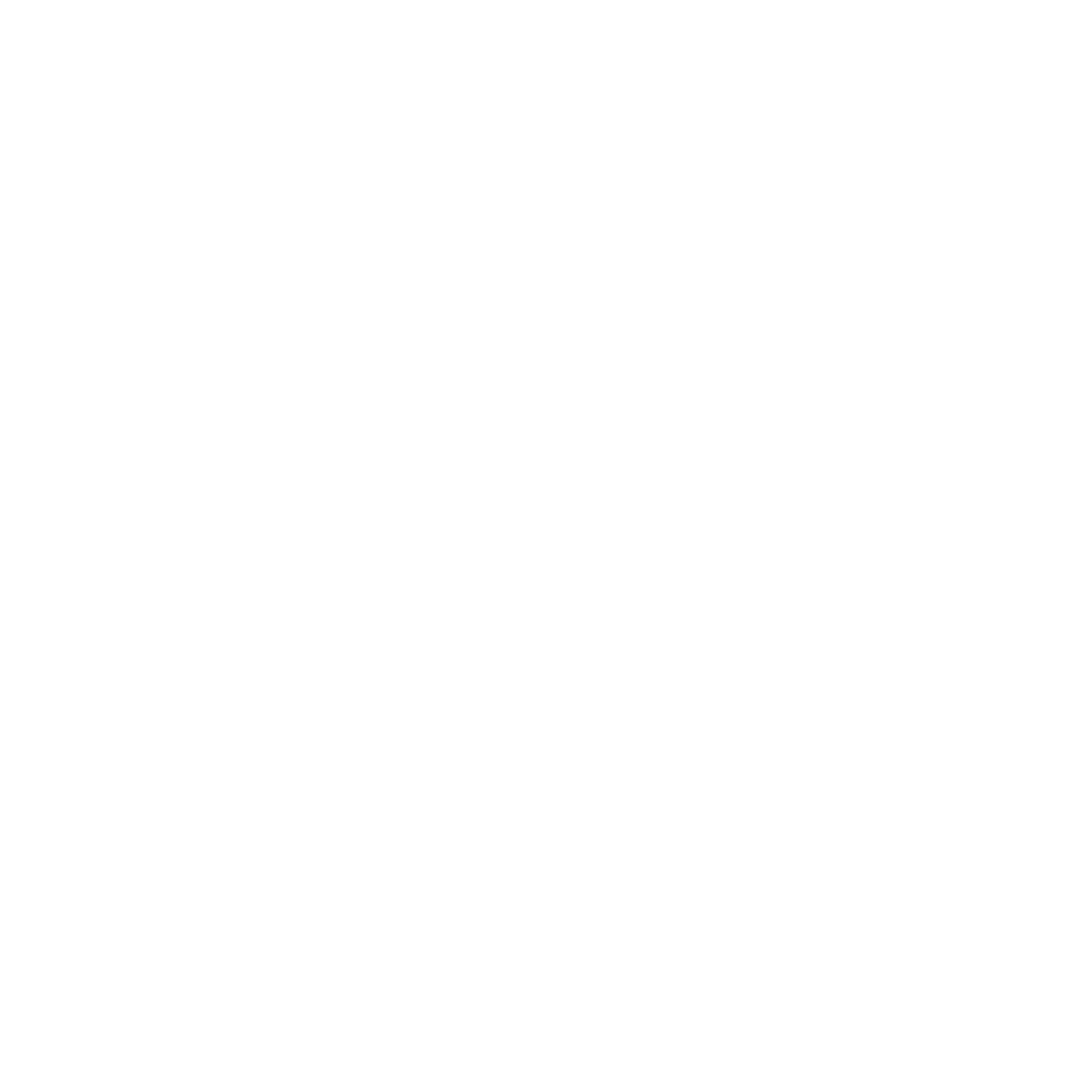 Logo van PPOZO, ontworpen door StudioPlay – onderwijsstichting Amsterdam Zuidoost