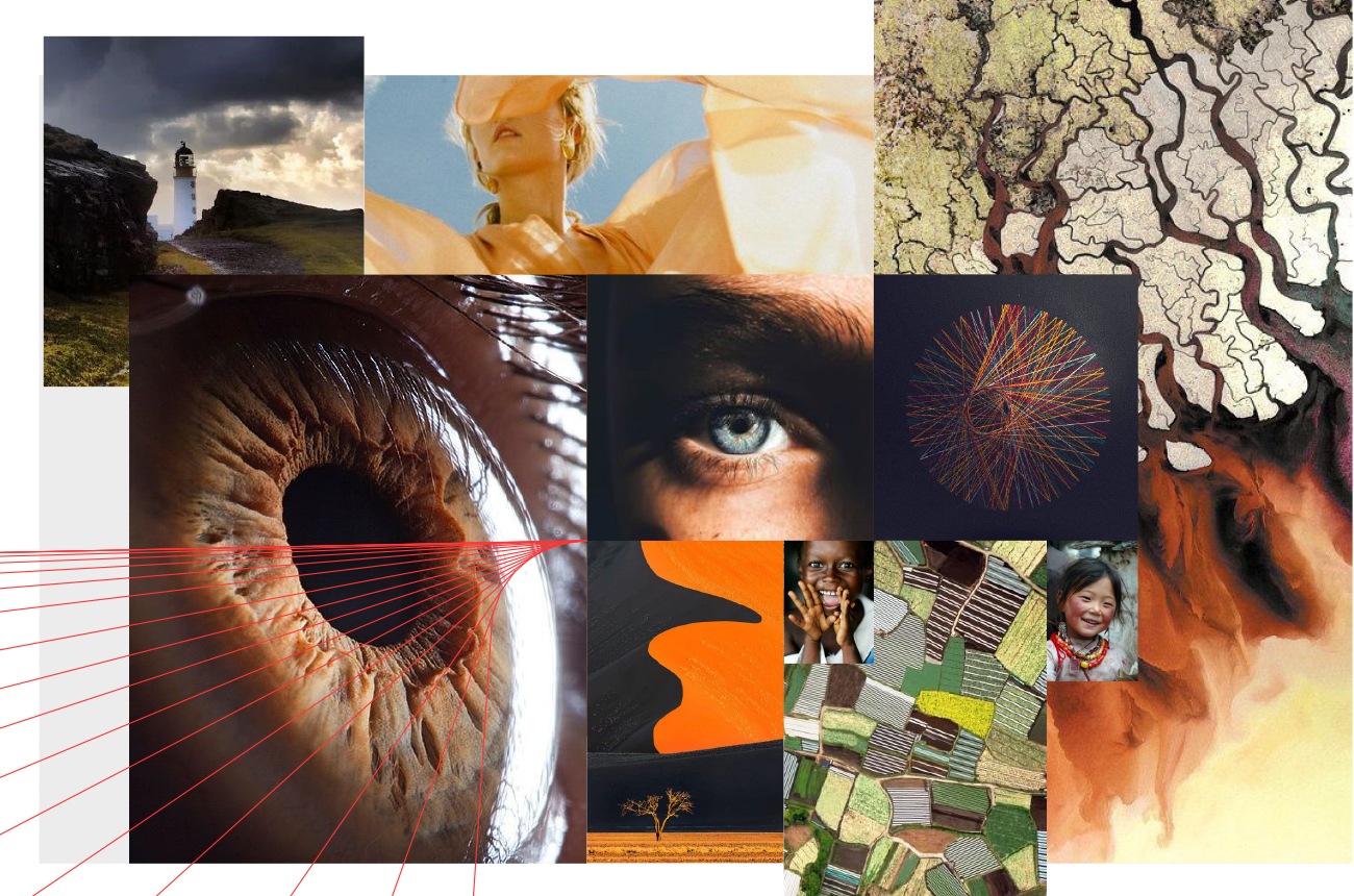 Moodboard met natuur- en textuurbeelden in warme tinten, gebruikt door Studioplay® als visuele metafoor voor menselijke en tastbare merkidentiteiten in een technologische context.
