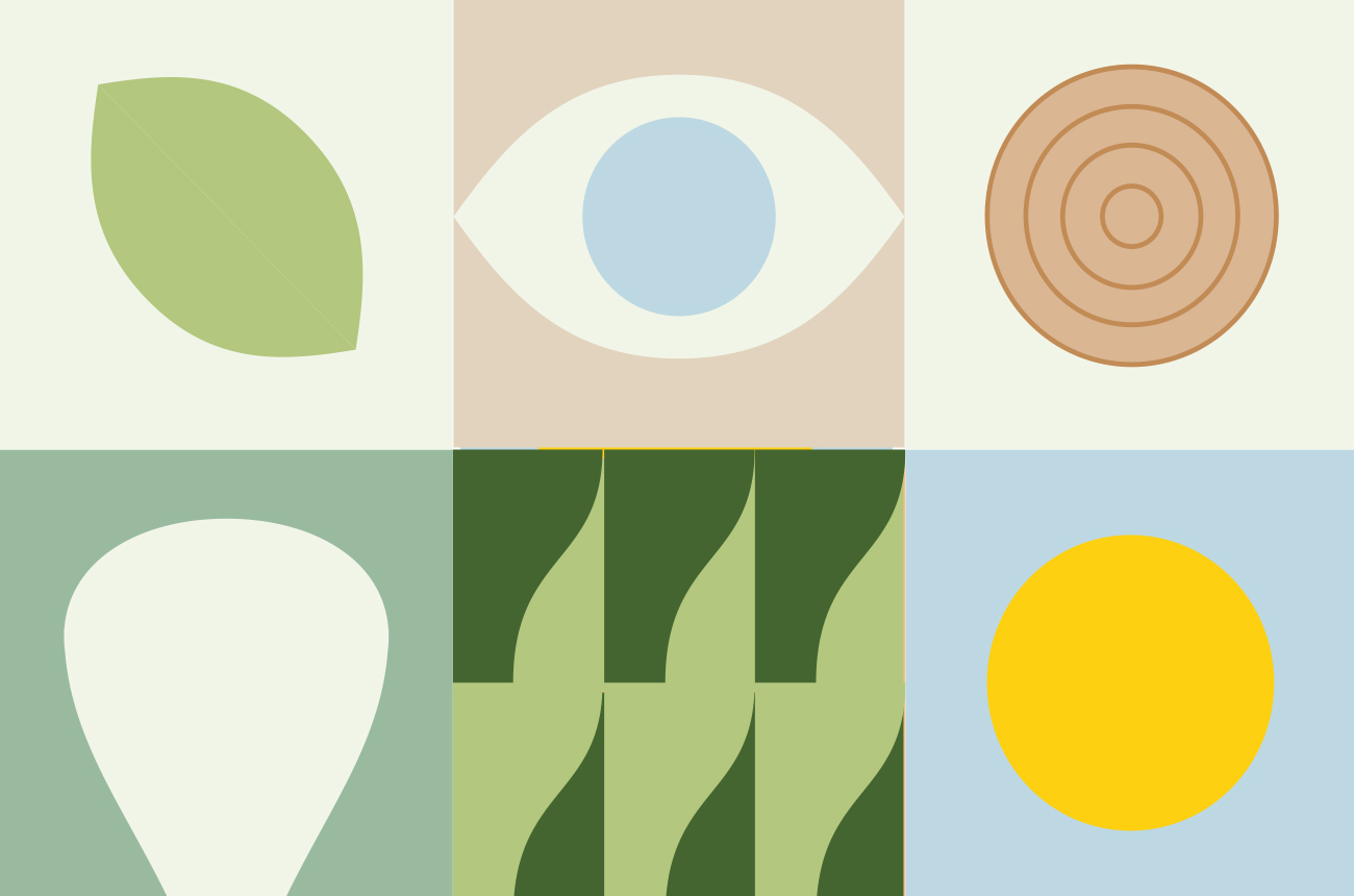 Set van kleurrijke pictogrammen en illustraties die duurzaamheid, natuur en gemeenschapsvorming verbeelden, ontwikkeld door Studioplay® voor de tender van Urban Sync en Timpaan.