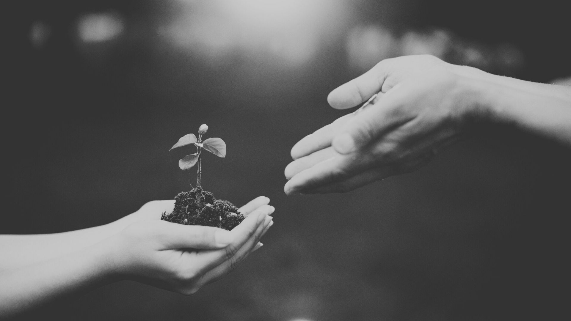 Les tendances B2B/B2C à suivre