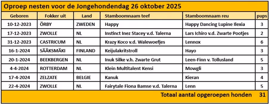 Afbeelding met tekst, schermopname, Lettertype, nummerDoor AI gegenereerde inhoud is mogelijk onjuist.