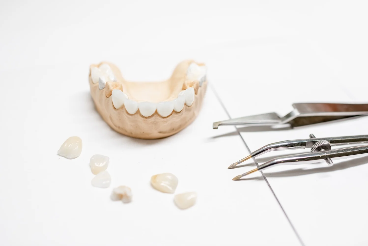 Model of Teeth Next to Dental Utencils