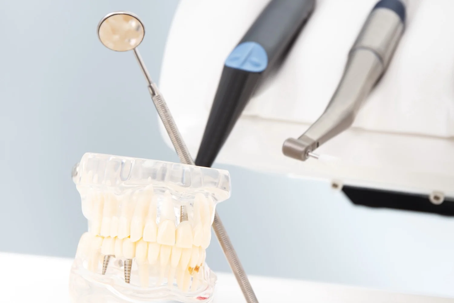 Teeth Model Next to Utencils