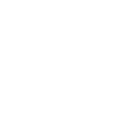 White lightning bolt icon