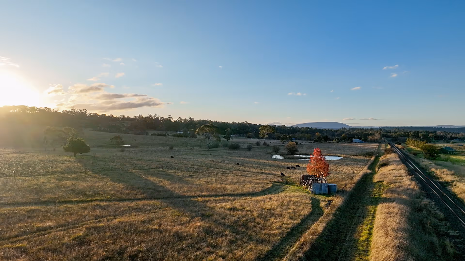 Bush landscape