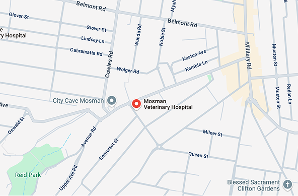 Small map of Mosman Vet location