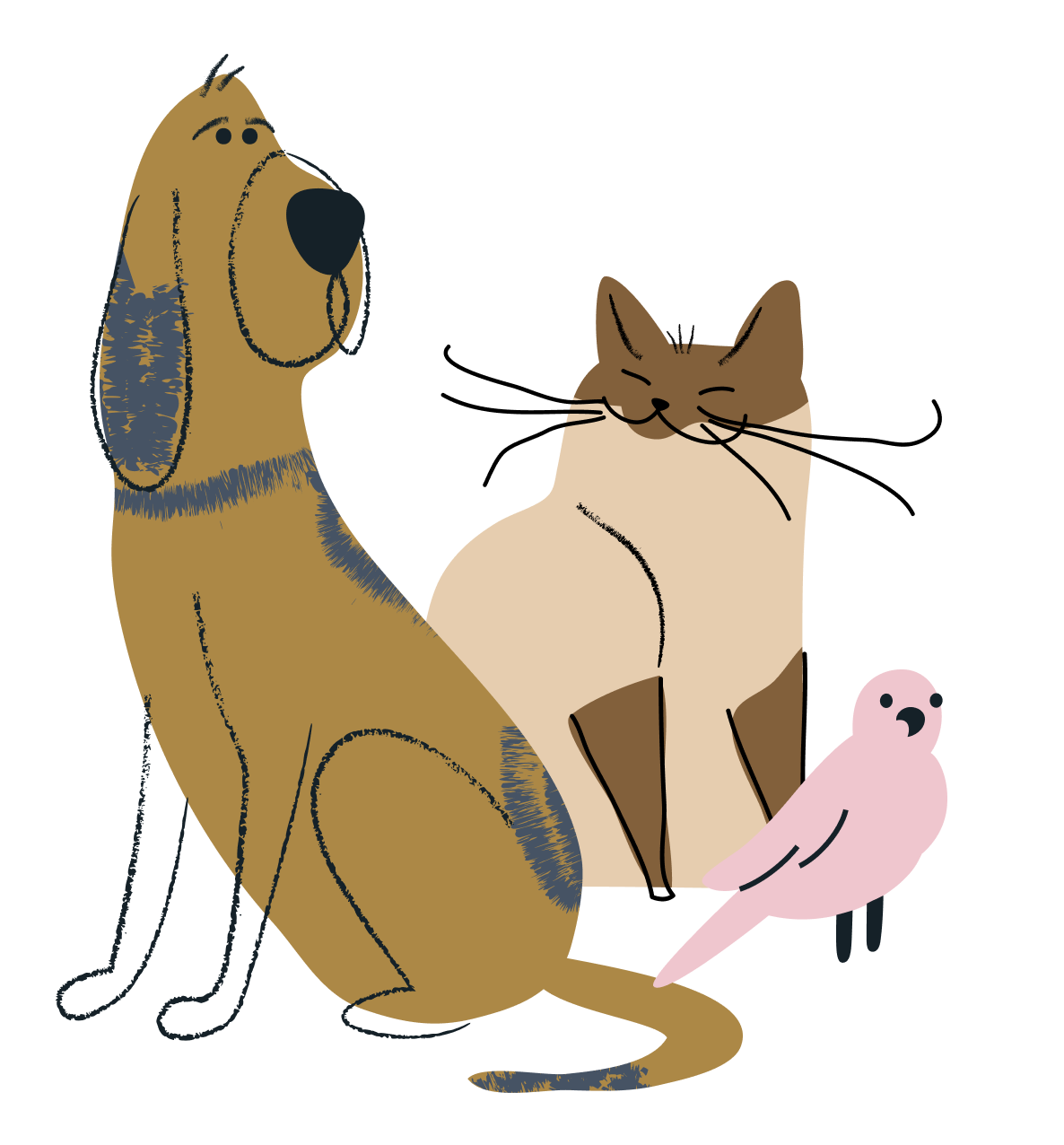 Illustration of a brown dog, brown cat and pink bird