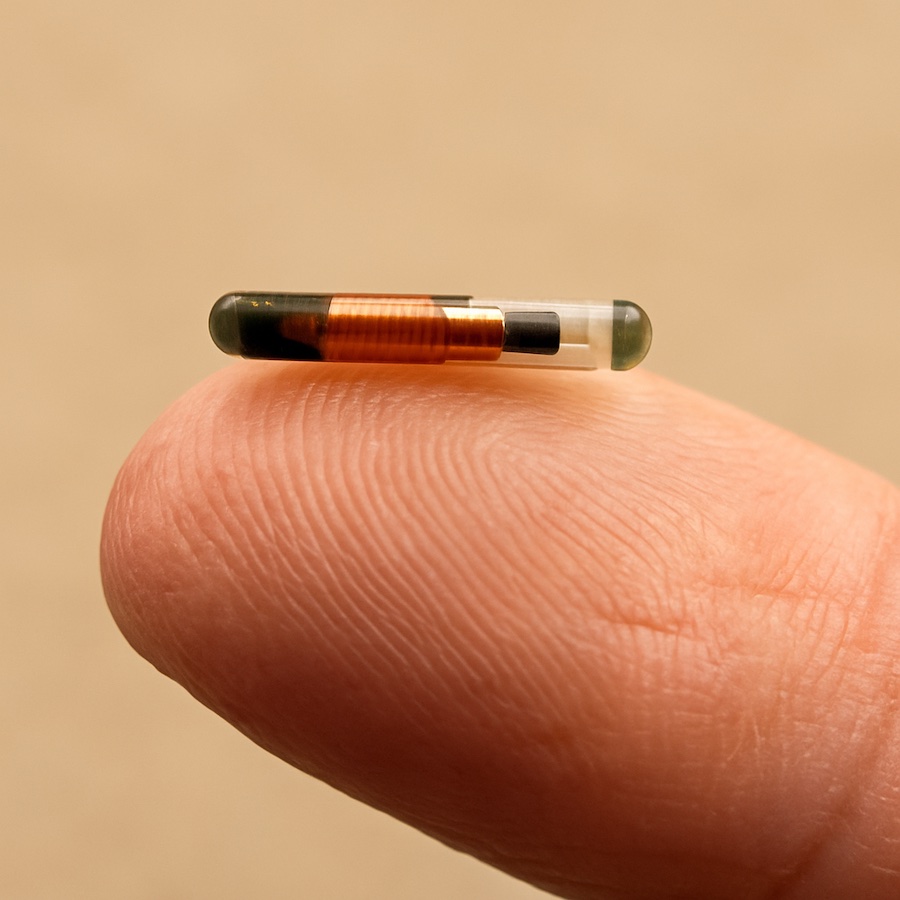 A pet microchip on the end of a finger