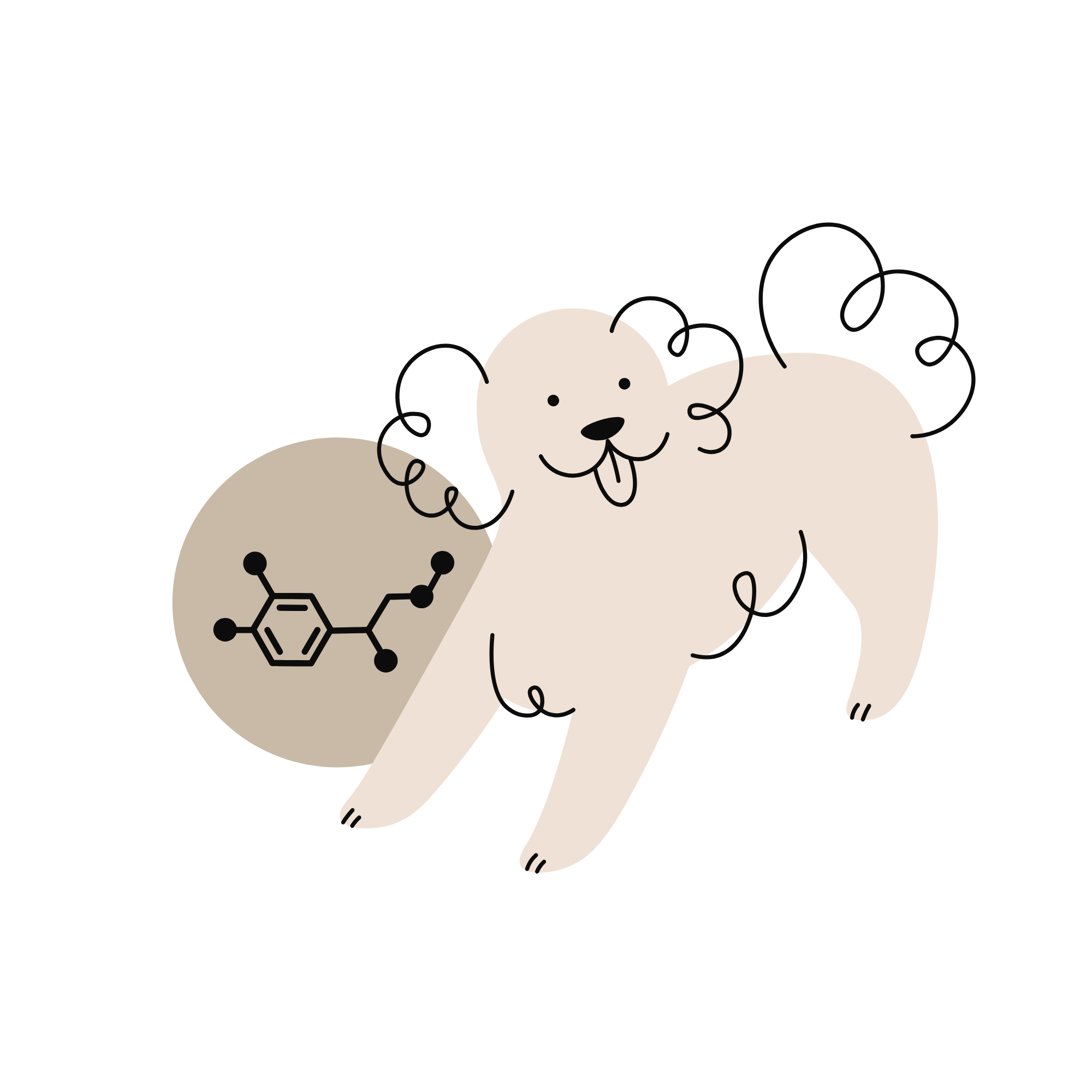 Illustration of a playful, smiling dog with curly fur next to a chemical structure.