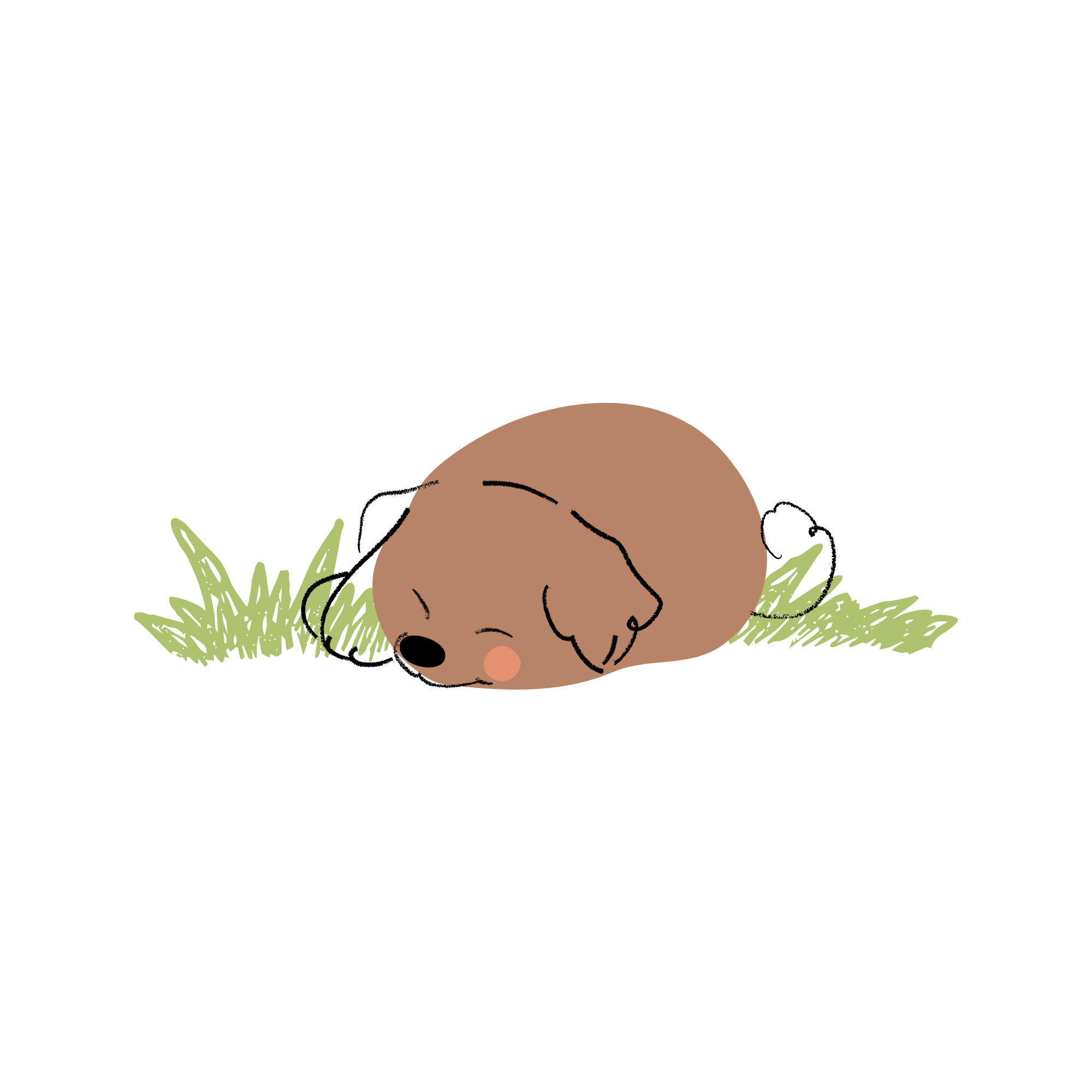 Cartoon illustration of a brown puppy curled up and sleeping on green grass.