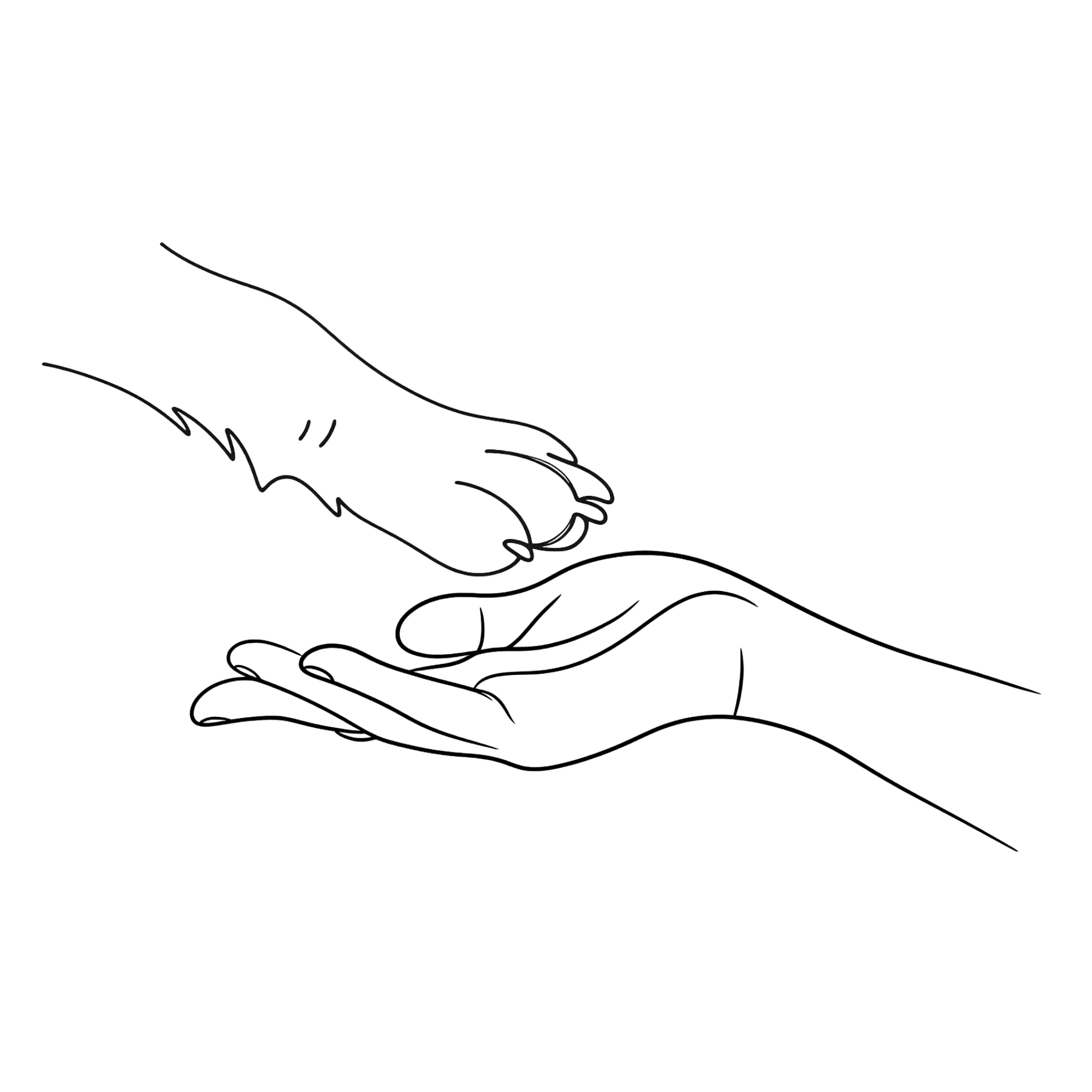 An illustration of a paw reaching out to a human hand.