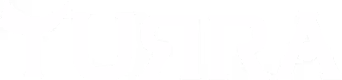 2020INC logo