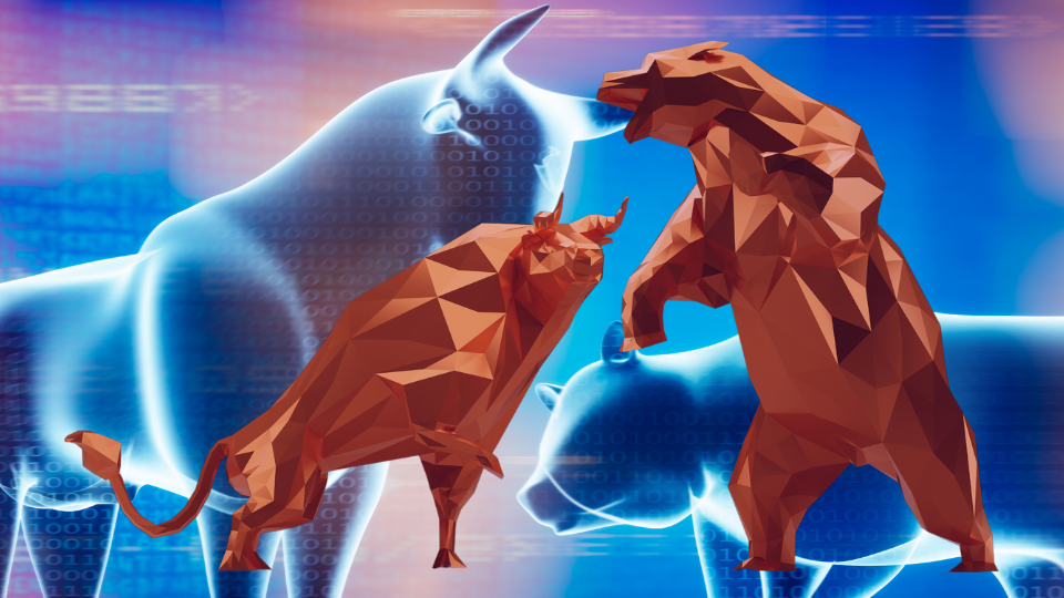 bear vs bull
