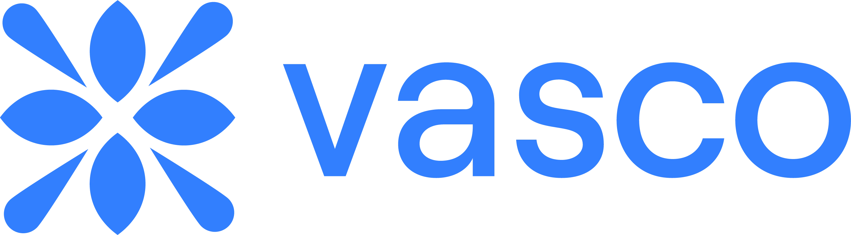 Vasco Logo