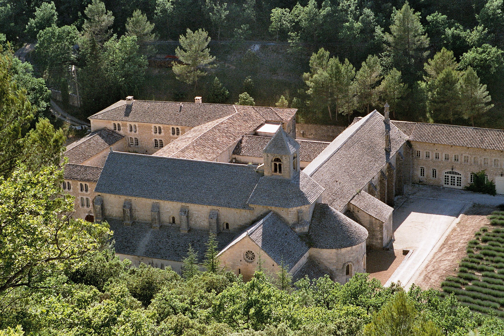 Abbaye de Sénanque : visiter le joyau cistercien du Luberon