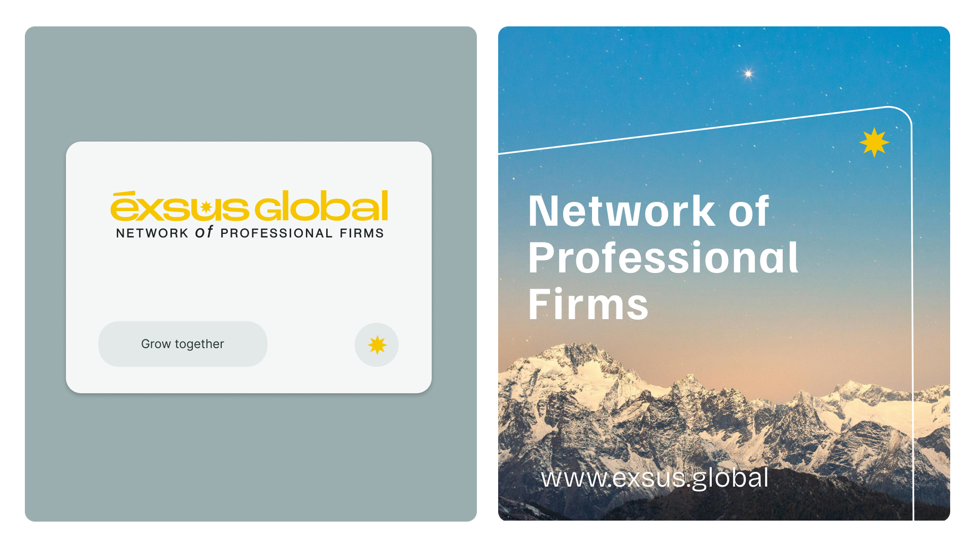 Exsus Global Partner Network Experience