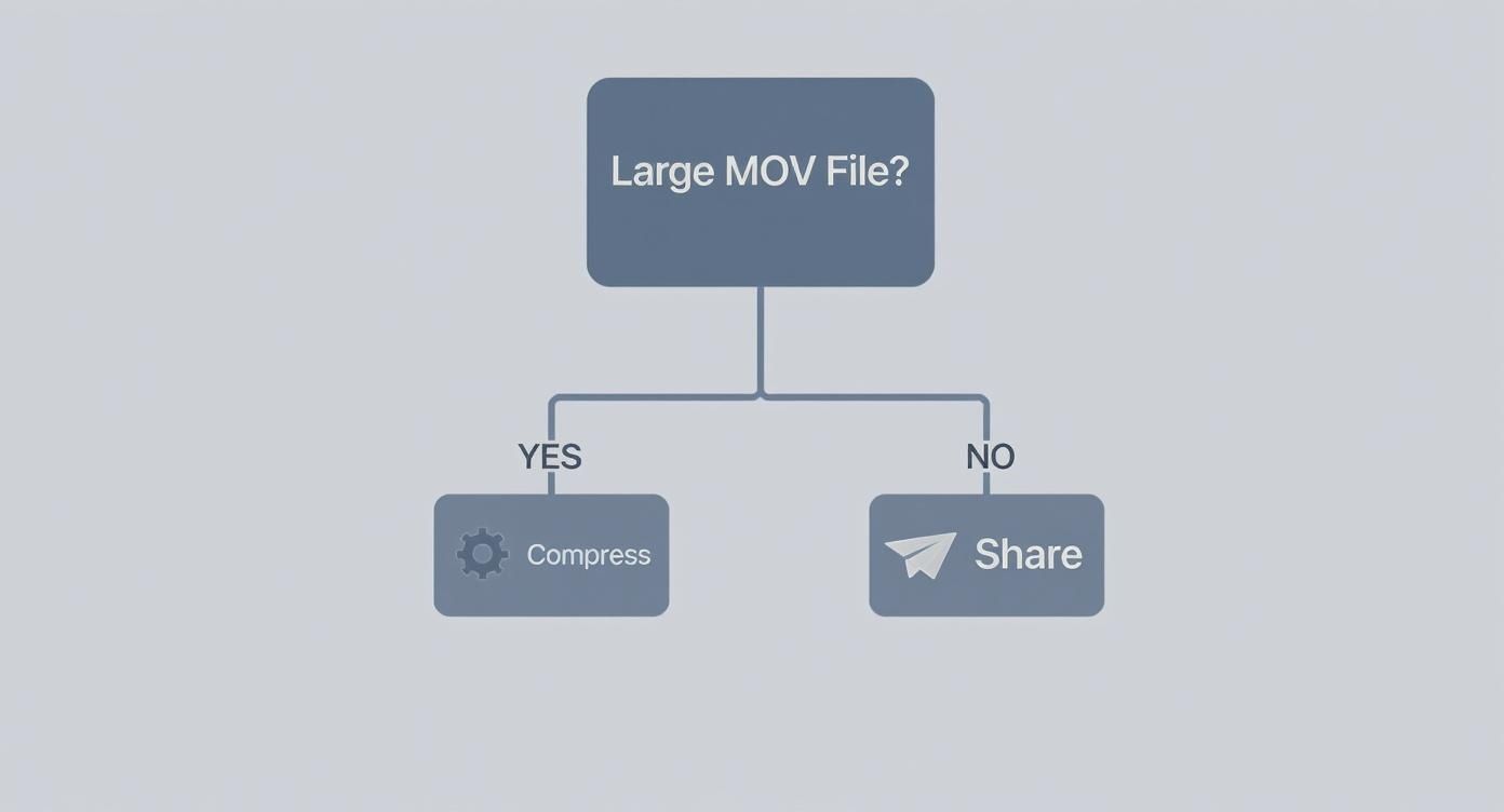 Flowchart showing how to handle MOV files: compress if large, share if not.