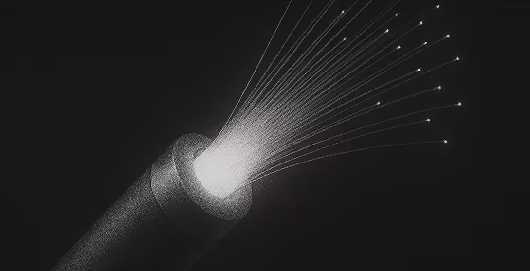 Imagen de un cable seccionado del que salen muchos filamentos.
