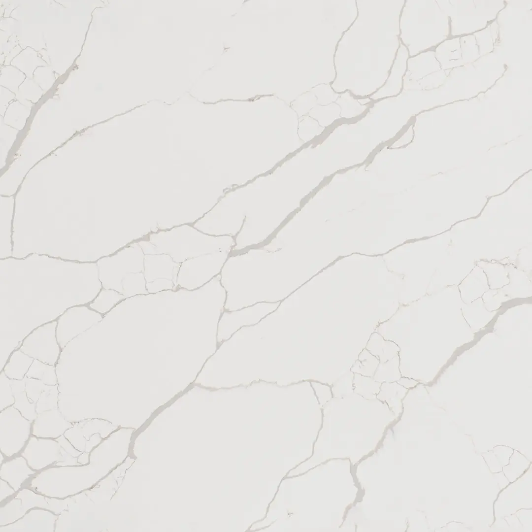 [background image] image of restaurant contact desk (for a seafood restaurant)