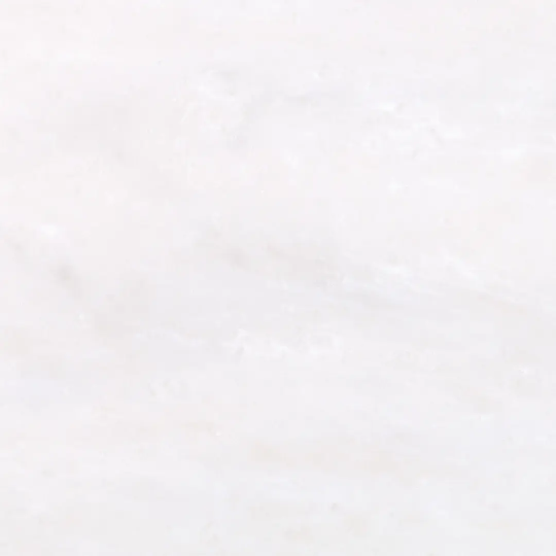 [background image] image of restaurant contact desk (for a seafood restaurant)