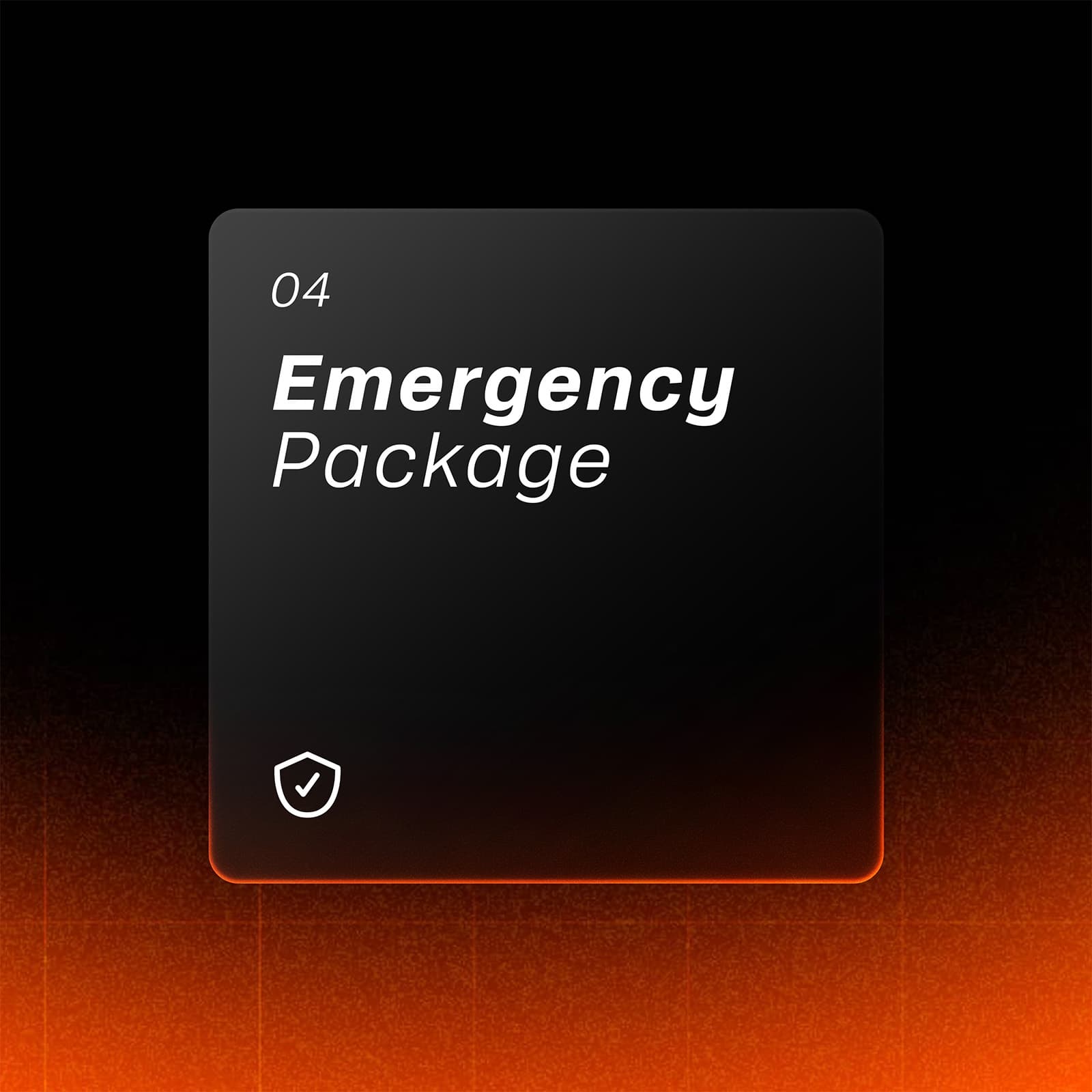 Emergency package