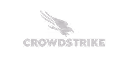crowdstrike
