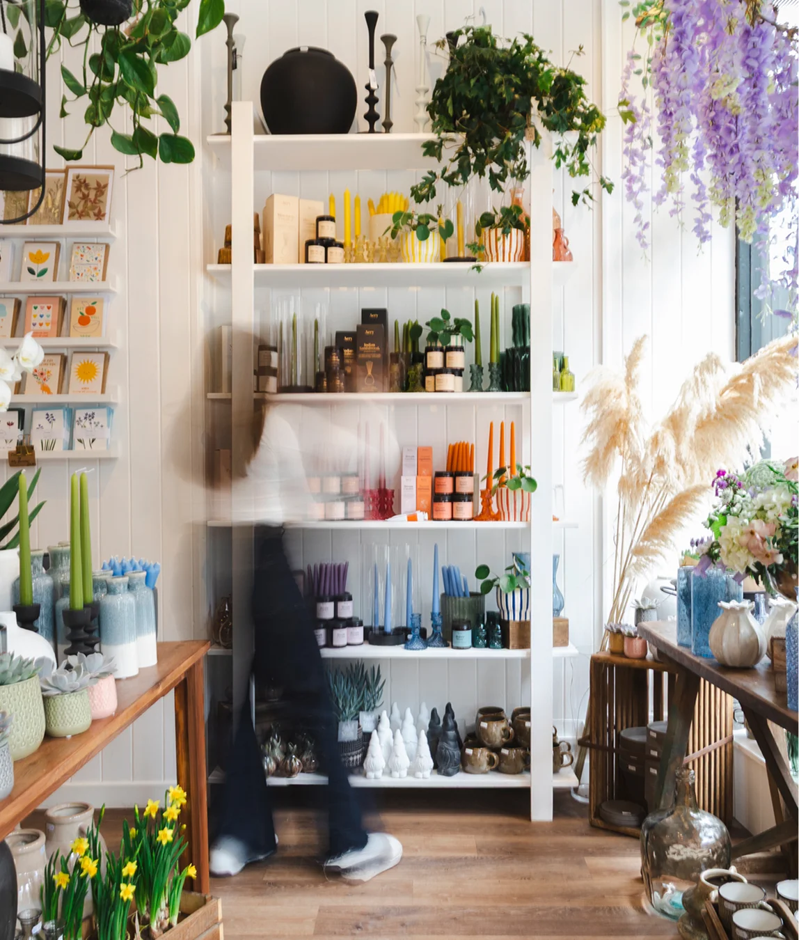 Cozy home decor store featuring indoor plants, candles, and vibrant colourful vases.