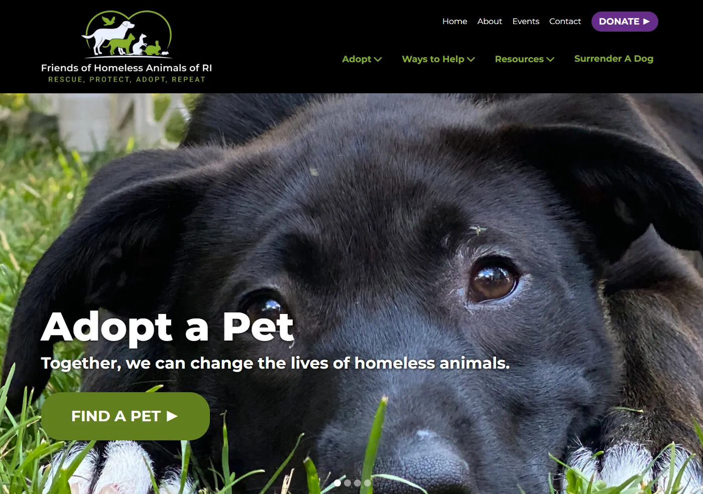 Friends of Homeless Animals of RI home page image of a dog with the text "Adopt a Pet".