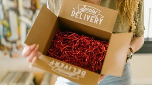 A close-up of a person holding an open cardboard box labeled "Special Delivery" in white text. The box is filled with red crinkle paper, adding a festive touch to the packaging.