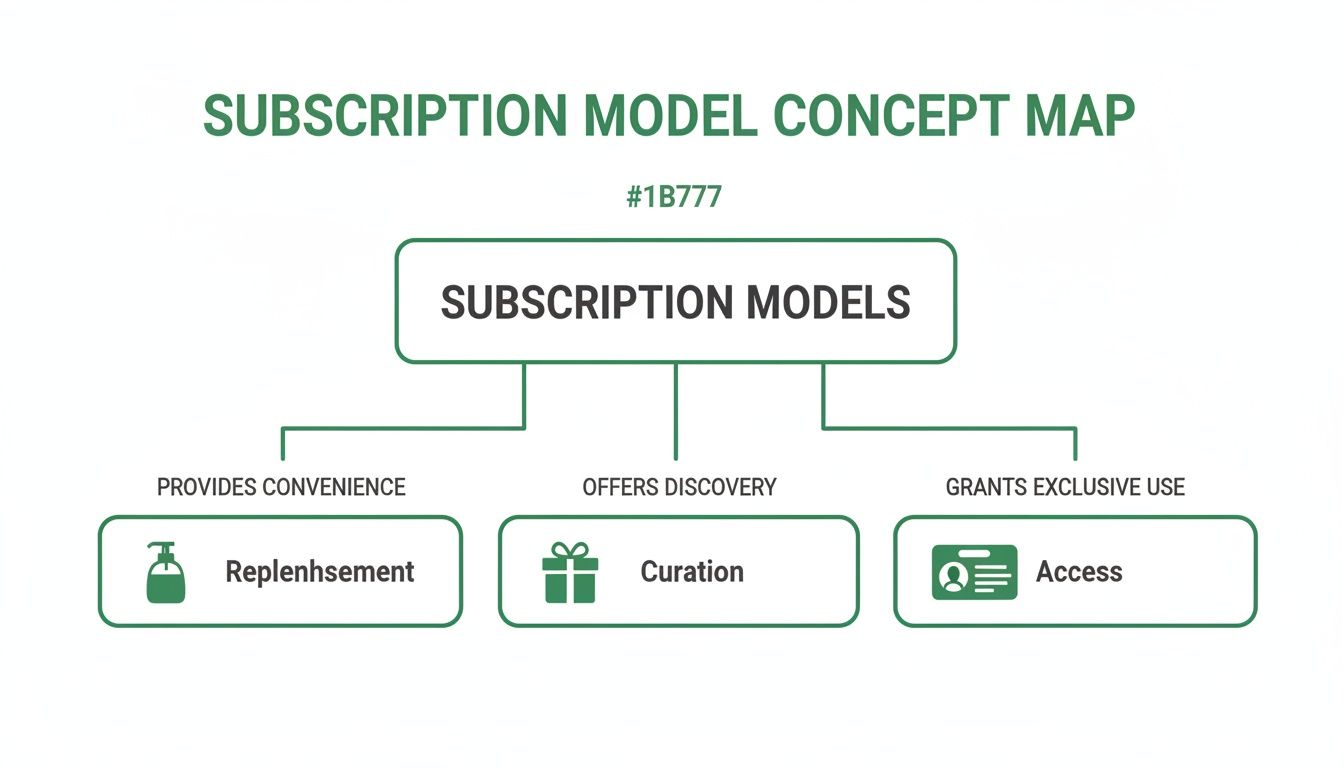 Concept map illustrating subscription models, categorized by convenience (replenishment), discovery (curation), and exclusive use (access).
