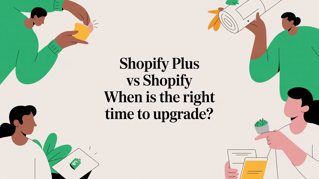 Shopify Plus vs Shopify When Is the Right Time to Upgrade?