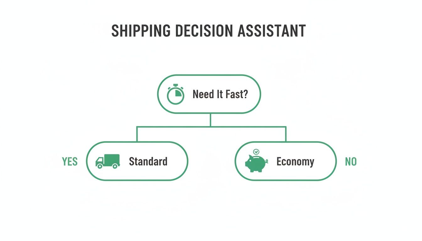 A shipping decision assistant flowchart outlining two shipping options: 'Standard' for speed and 'Economy' for savings.
