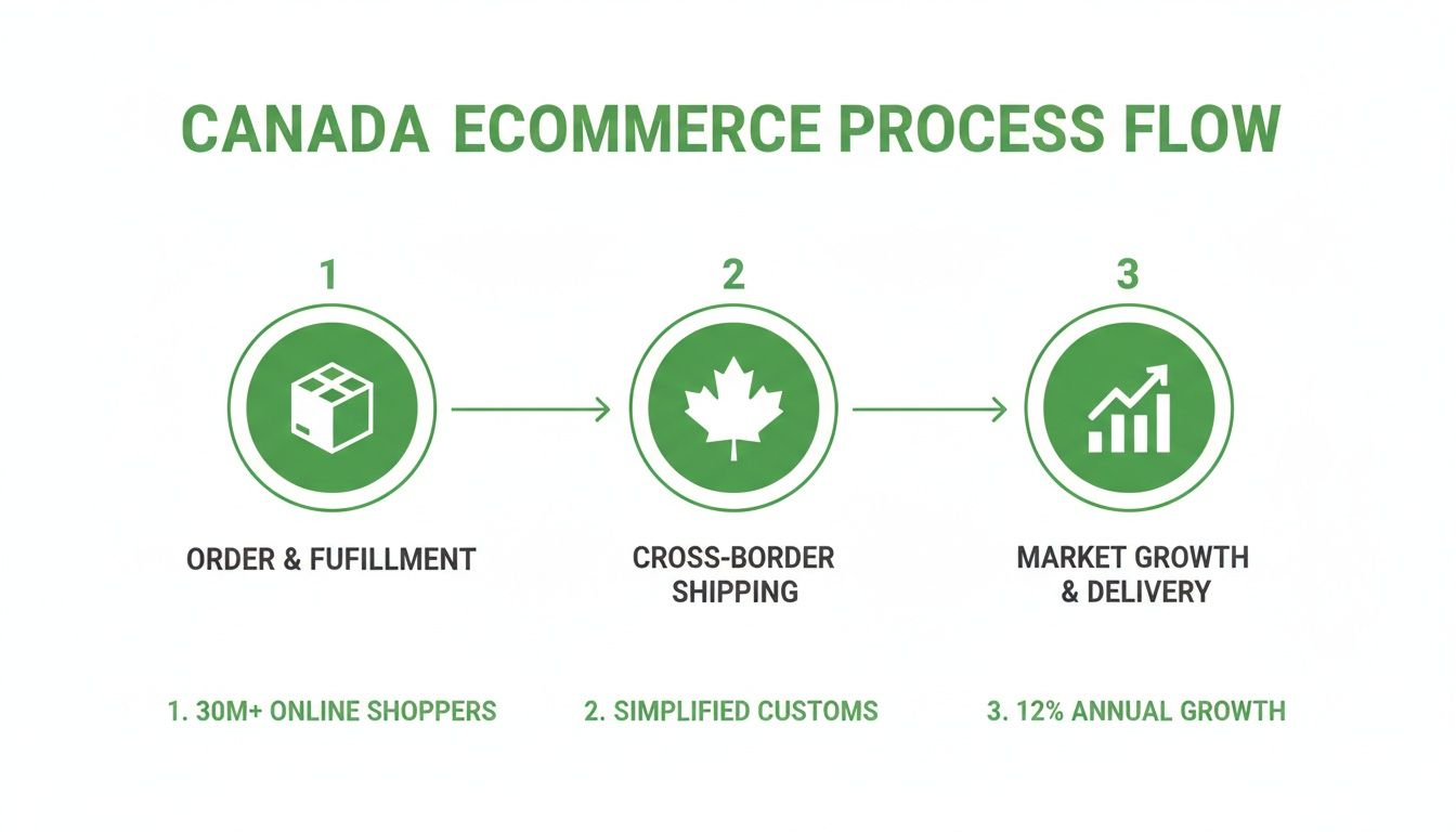 Infographic illustrates the Canada e-commerce process flow, including order fulfillment, cross-border shipping, and market growth.