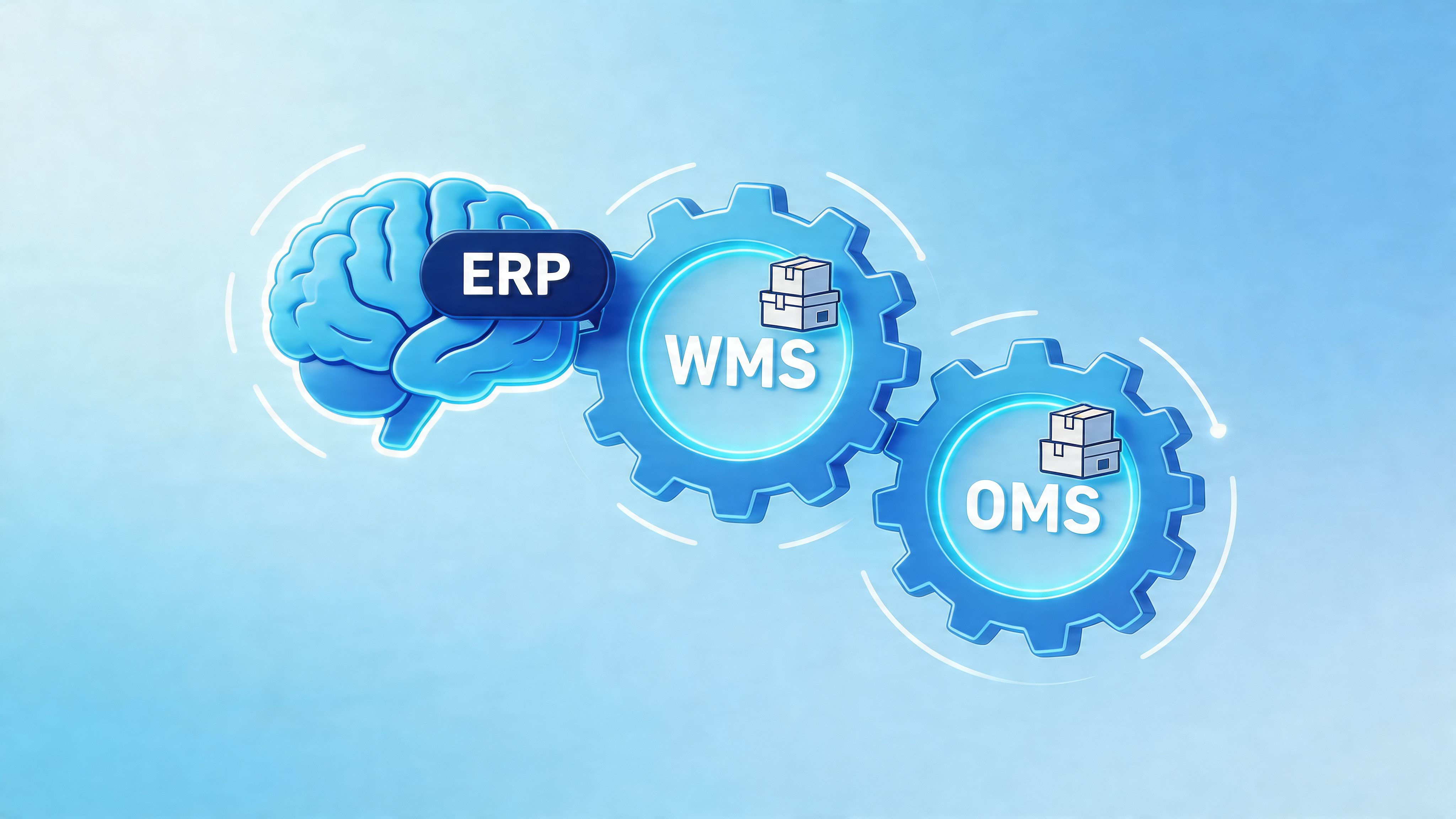 A conceptual illustration featuring a brain, WMS gear, and OMS gear representing ERP system supply chain integration.