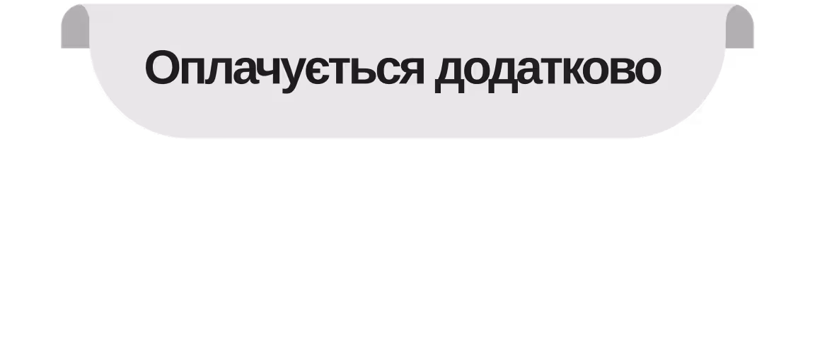 Excluded in price flag