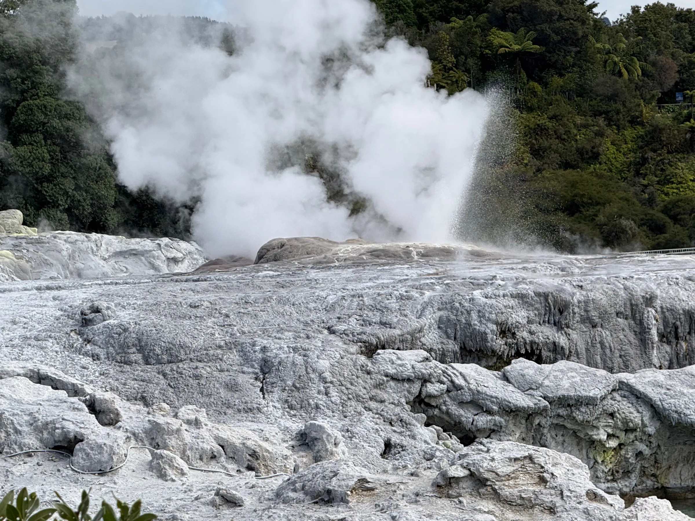 Whakarewarewa - The Living Maori Village