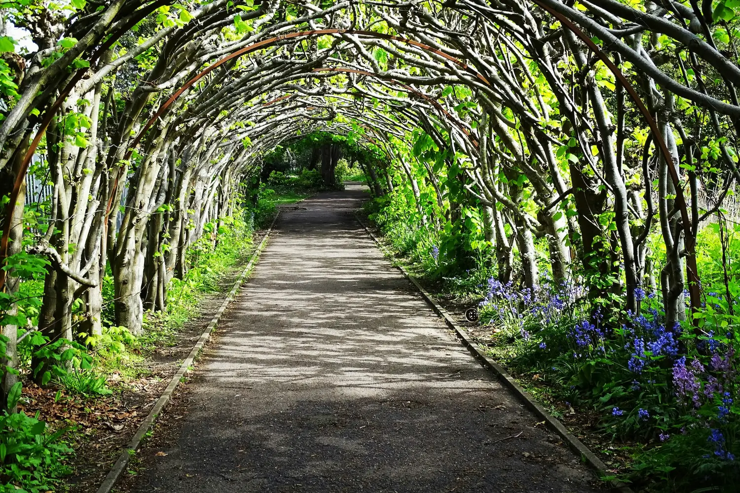 Why Bournemouth, Poole & Christchurch Are Booming for Luxury Short-Term Lets in 2025