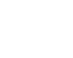 Logo des Unternehmens whitelisthackers, ein Partner von PORTFORMANCE.