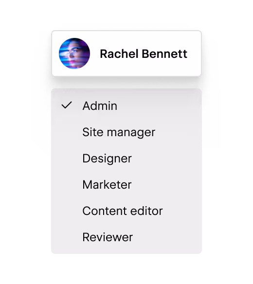 Simplified Webflow UI showing role settings for an individual.