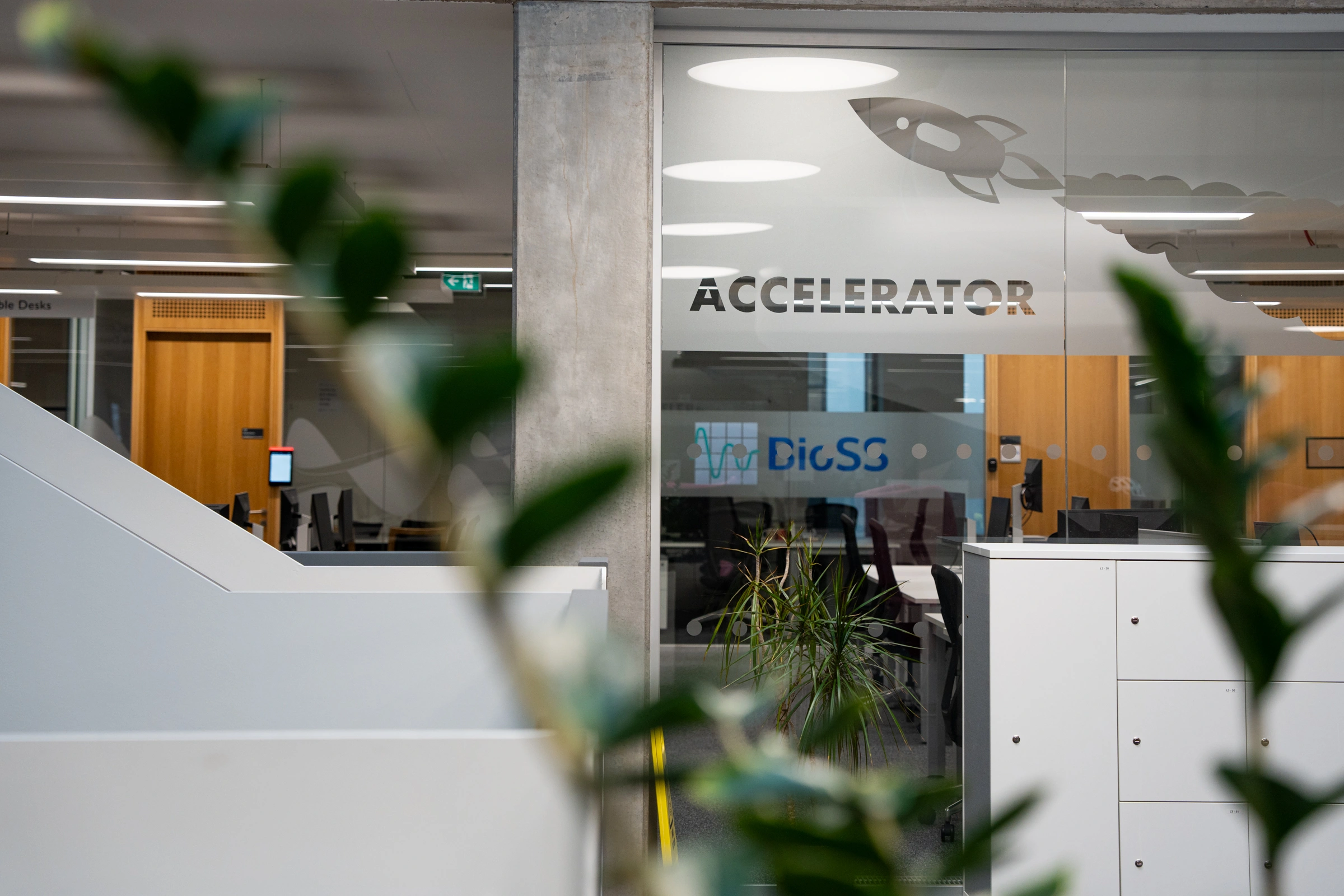 Modern office space with glass walls featuring 'ACCELERATOR' text and rocket graphic, visible workstations inside.