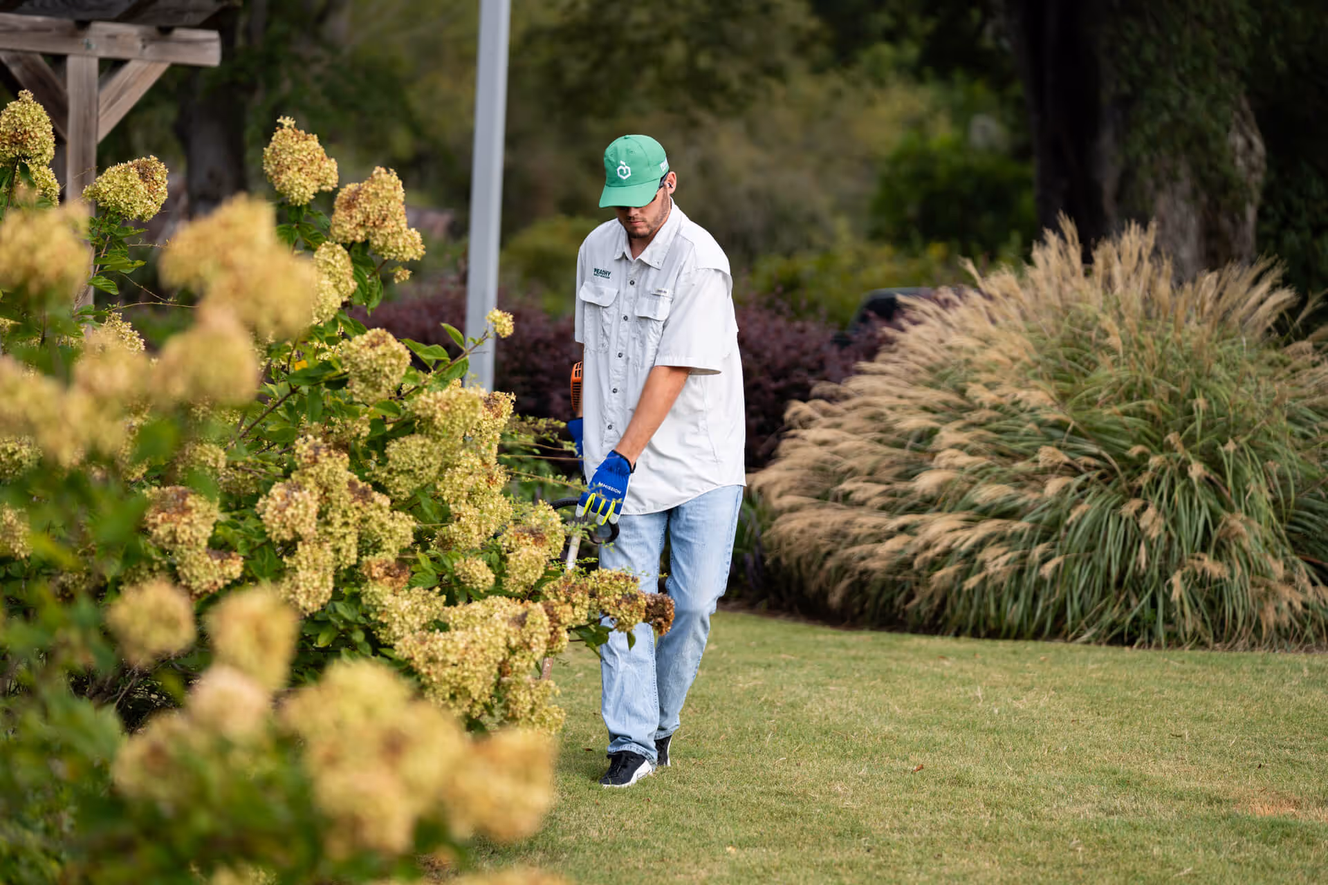Vendor Application for Commercial Landscaping