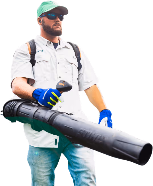 Healthcare facility landscape maintenance