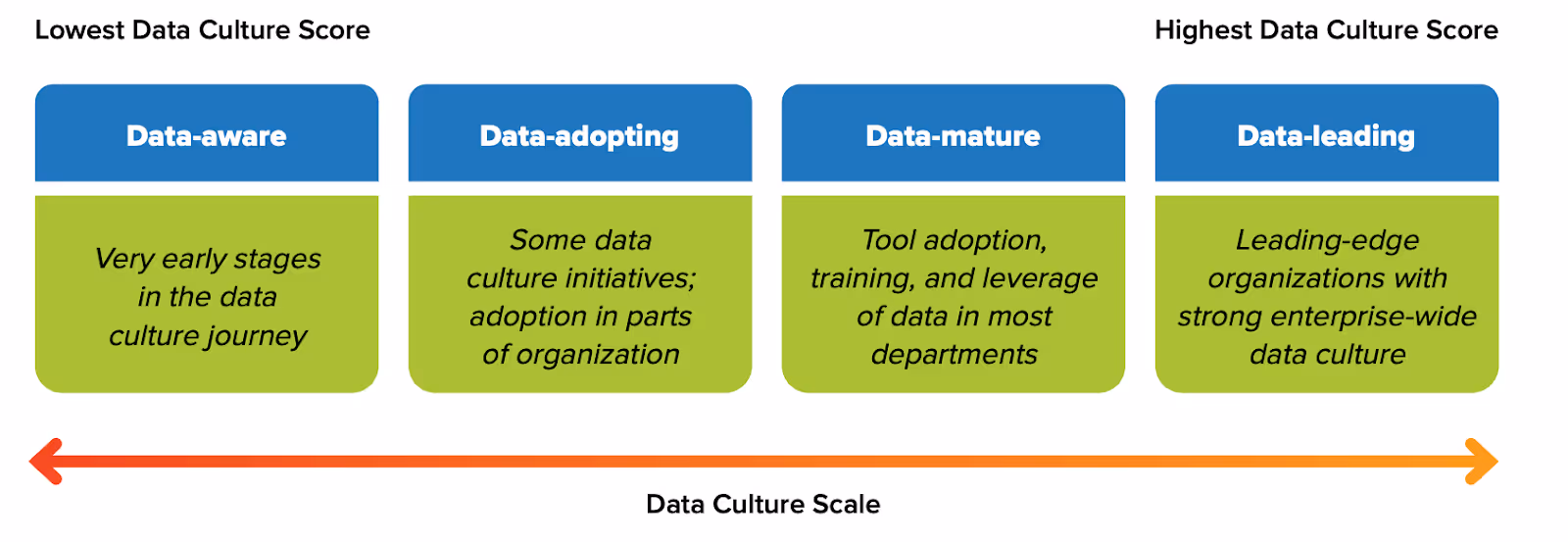 data culture scale score idc culture scale