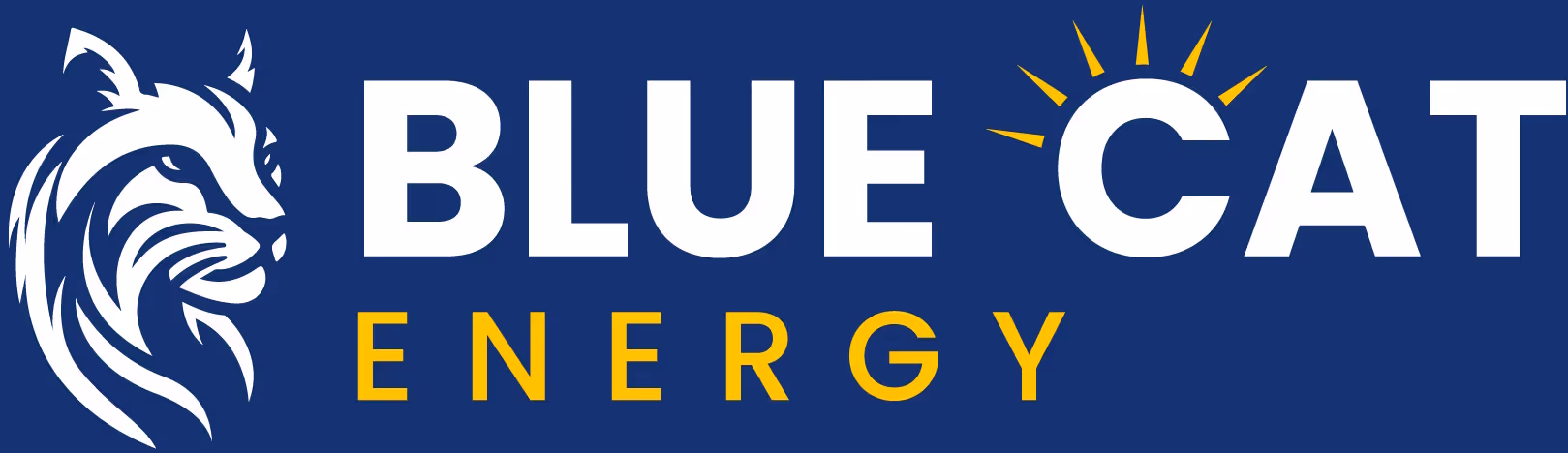 Blue Cat energy logo